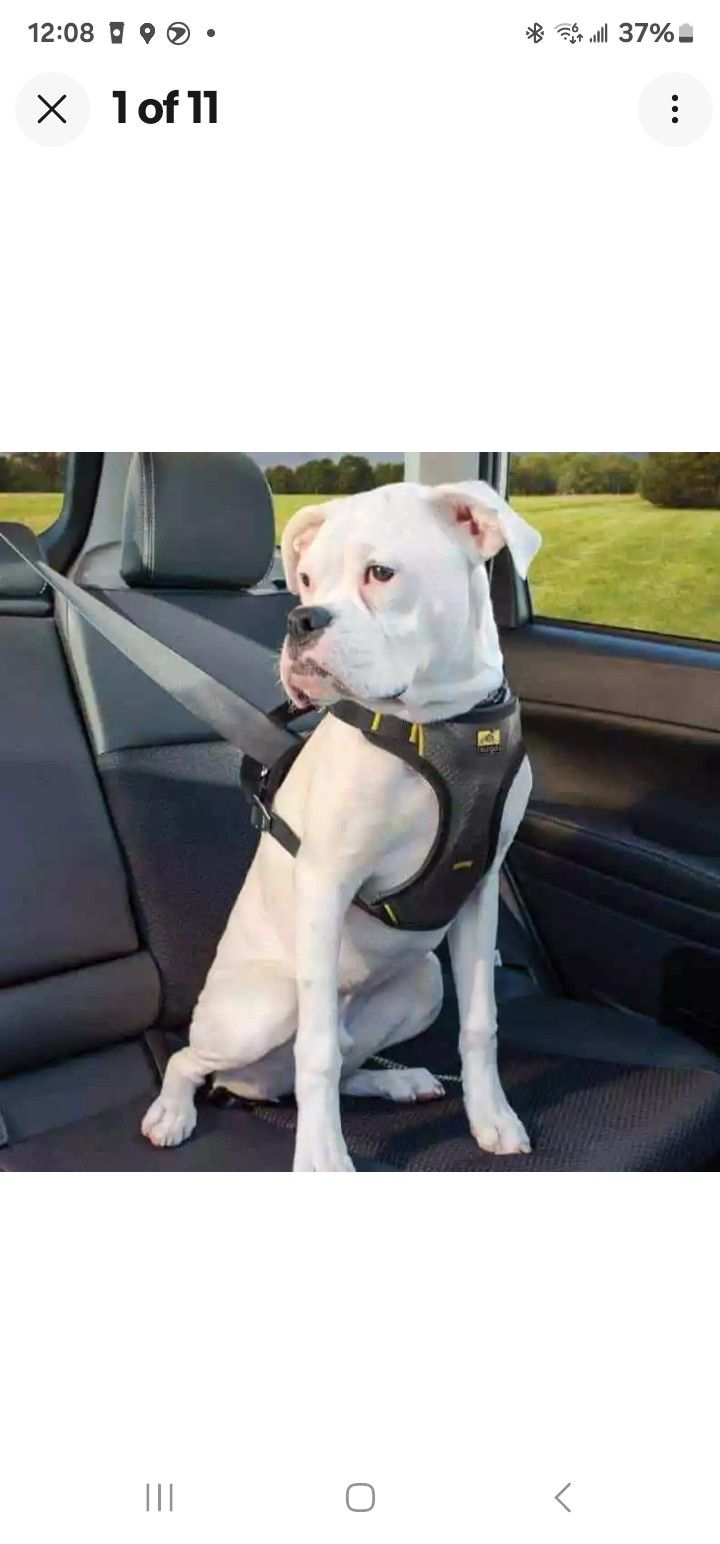 Kurgo Impact Crash Tested Car Dog Puppy Seatbelt Harness Strong Adjustable
