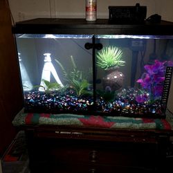 10 Gallon Fish Aquarium 