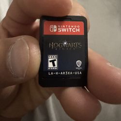 Hogwarts Legacy Nintendo Switch 