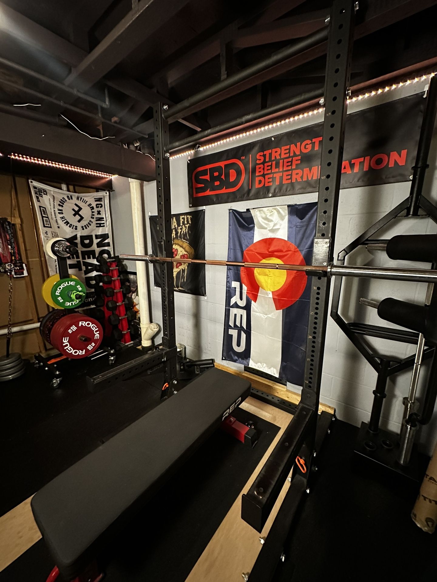 Rogue SML-2 Squat Stand w/Spotter Arms