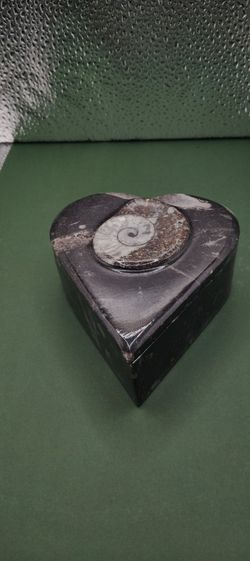 Heart Ammonit Orthoceras Container With A Lid 