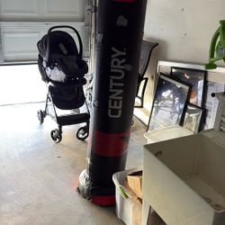 Punching Bag 