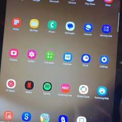 Samsung Tablet A9 Plus