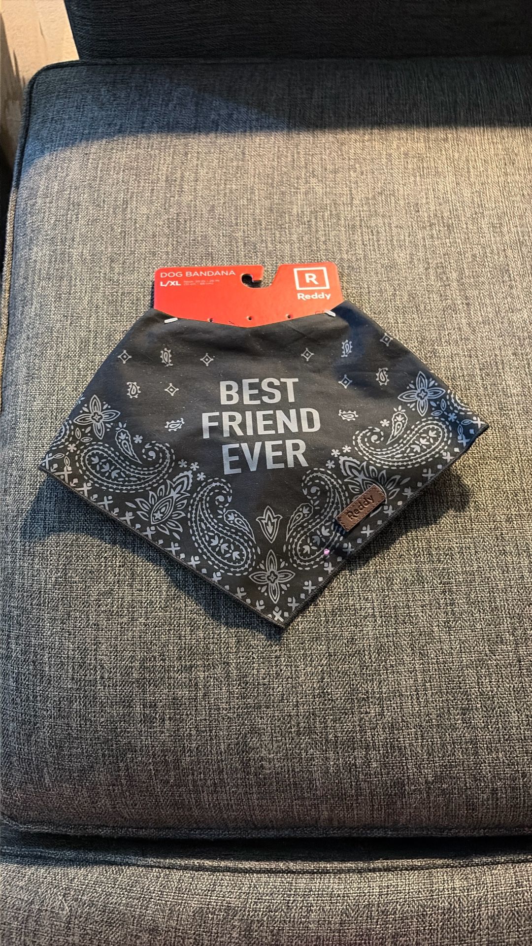 Best Friend Ever Reddy Dog Bandana