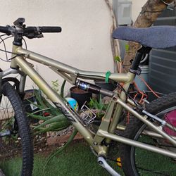 Mountain Bike And Beach Cruiser