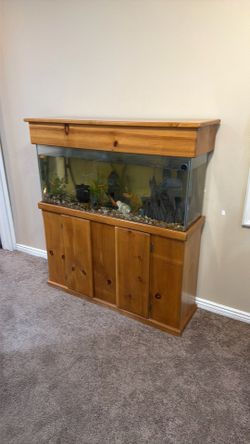 50 gal Fish tank for sale!