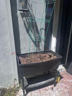 Small  planter for vegetable