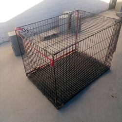 Dog Cage