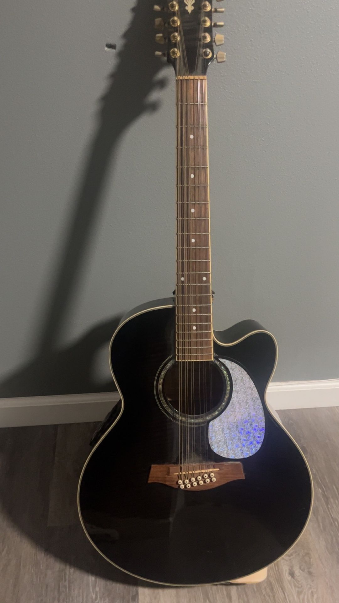 Ibanez AEL2012E