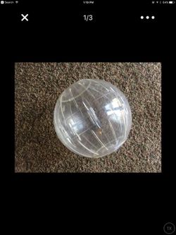 Large hamster ball