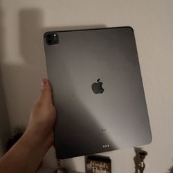 iPad Pro 12.9 5th Generation (2021) 256GB