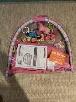 Bright Starts Pretty In Pink Baby Play Gym