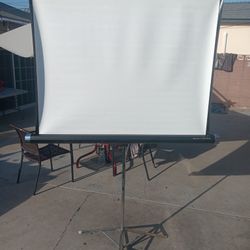 Ray-tone Vintage Movie Screen