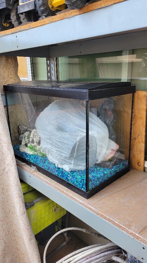 Fish Tank