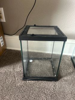 Lots of Reptile Equipment