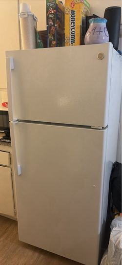 Fridge