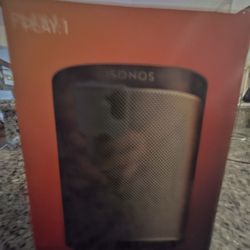 Play Sonos 1 Speaker