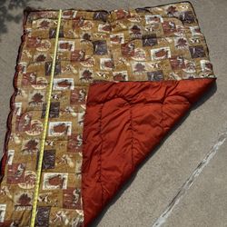 Sleeping Bag 