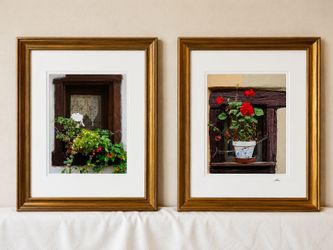 Set of 2 Rustic Farmhouse Framed Botanical Wall Art - Leaf Prints (19x23)