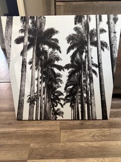 Canvas pictures frame
