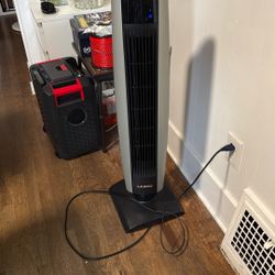 Fan