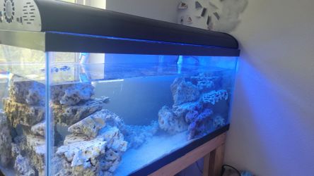 Current fish tank lights