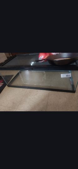 Snake tank