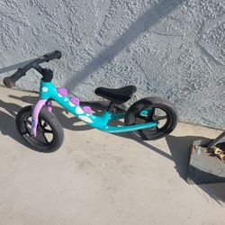 Bicycle Balance Trainer