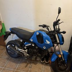 Honda grom 2022