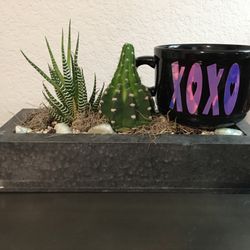 XOXO Valentine Mug