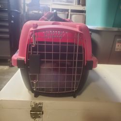cat carrier 