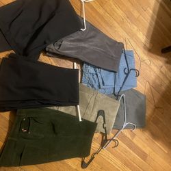 Women Pants/dress