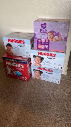Huggies & Parent's Choice Diaper Bundle
