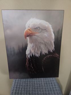 Bald Eagle Signed portrait print