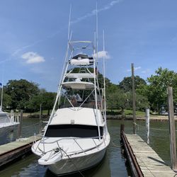 28’ Bertram Sportfish