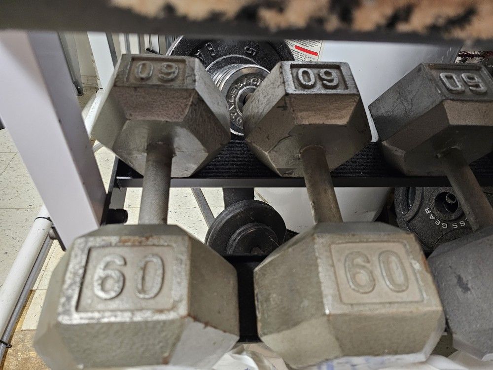 60lb Dumbbells