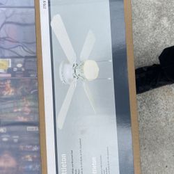 42 Inch White Fan
