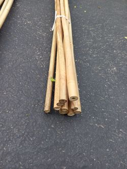 Bamboo stakes