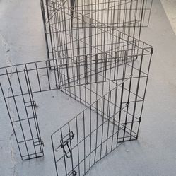 Dog Fence 