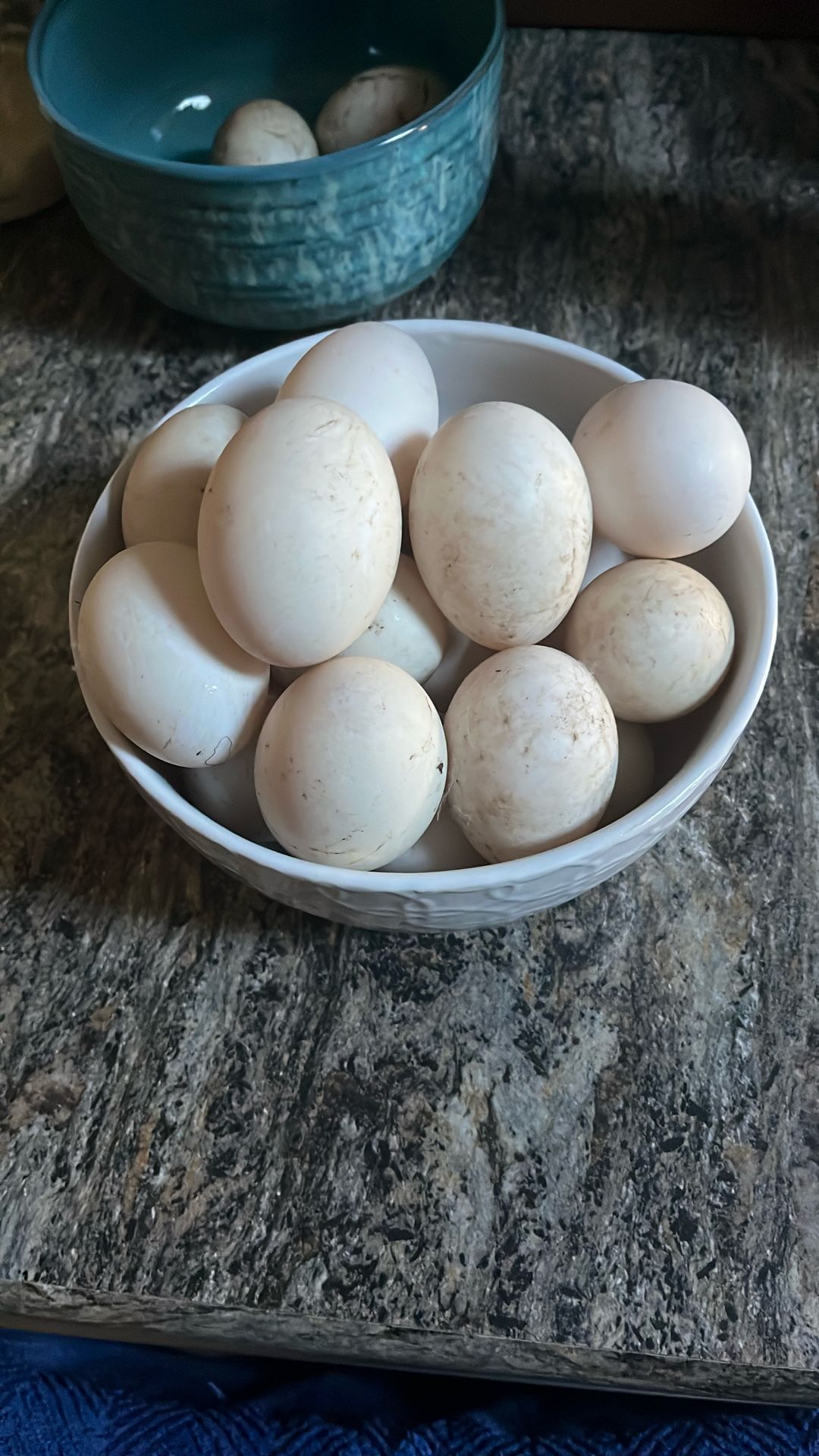 Fresh free range duck eggs