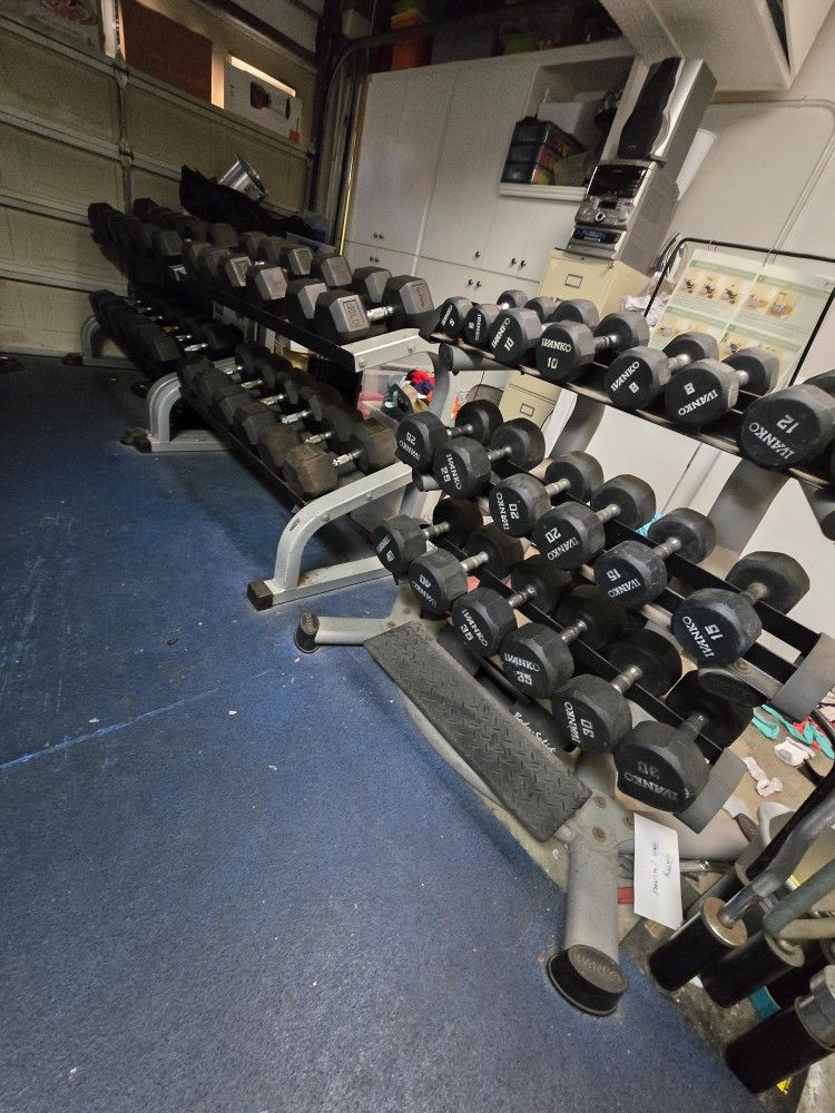 Rubber Hex Dumbbell Set 5 To 100 Lb