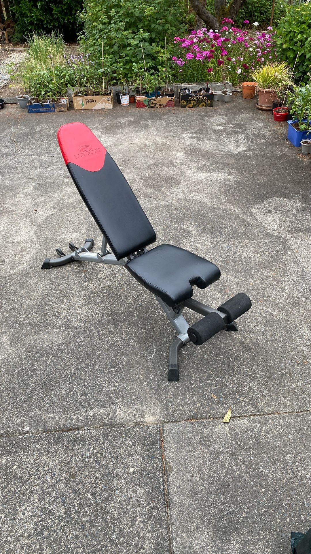 Weight Bench Used