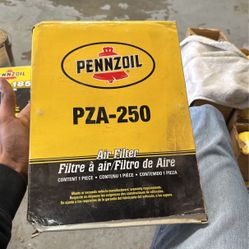 Pza-250 Air Filter