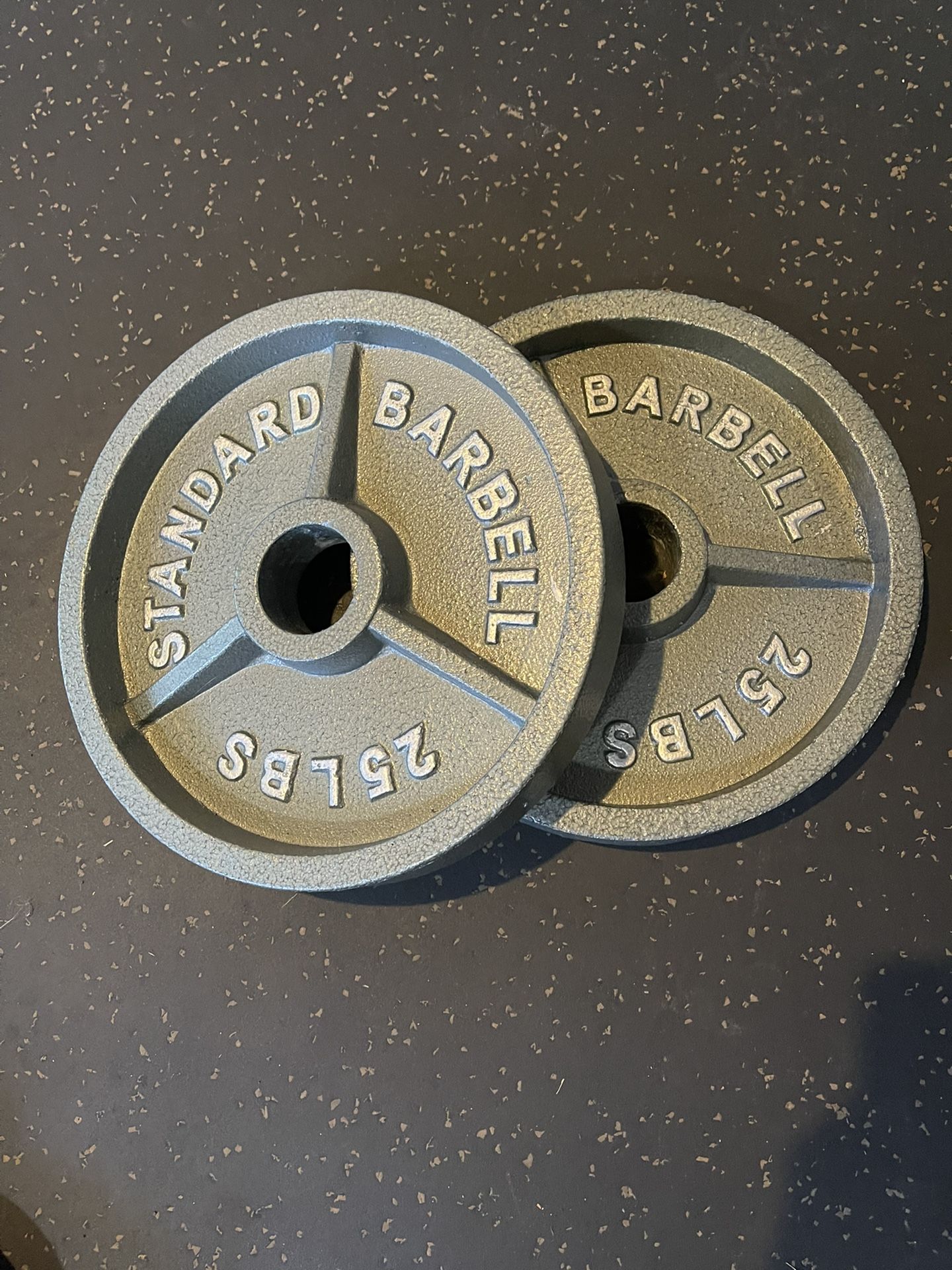 Pair Of 25lb Olympic Plates