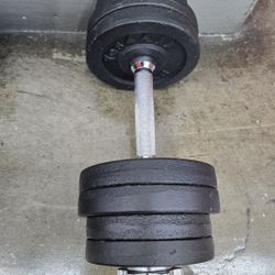 2-36 lbs cast iron adjustable dumbbells pair.