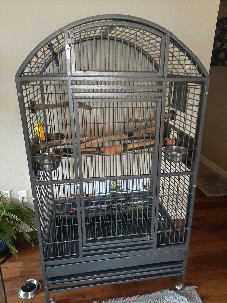 5'6 Feet Tall 2 To 3 Feet Wide Bird Cage 