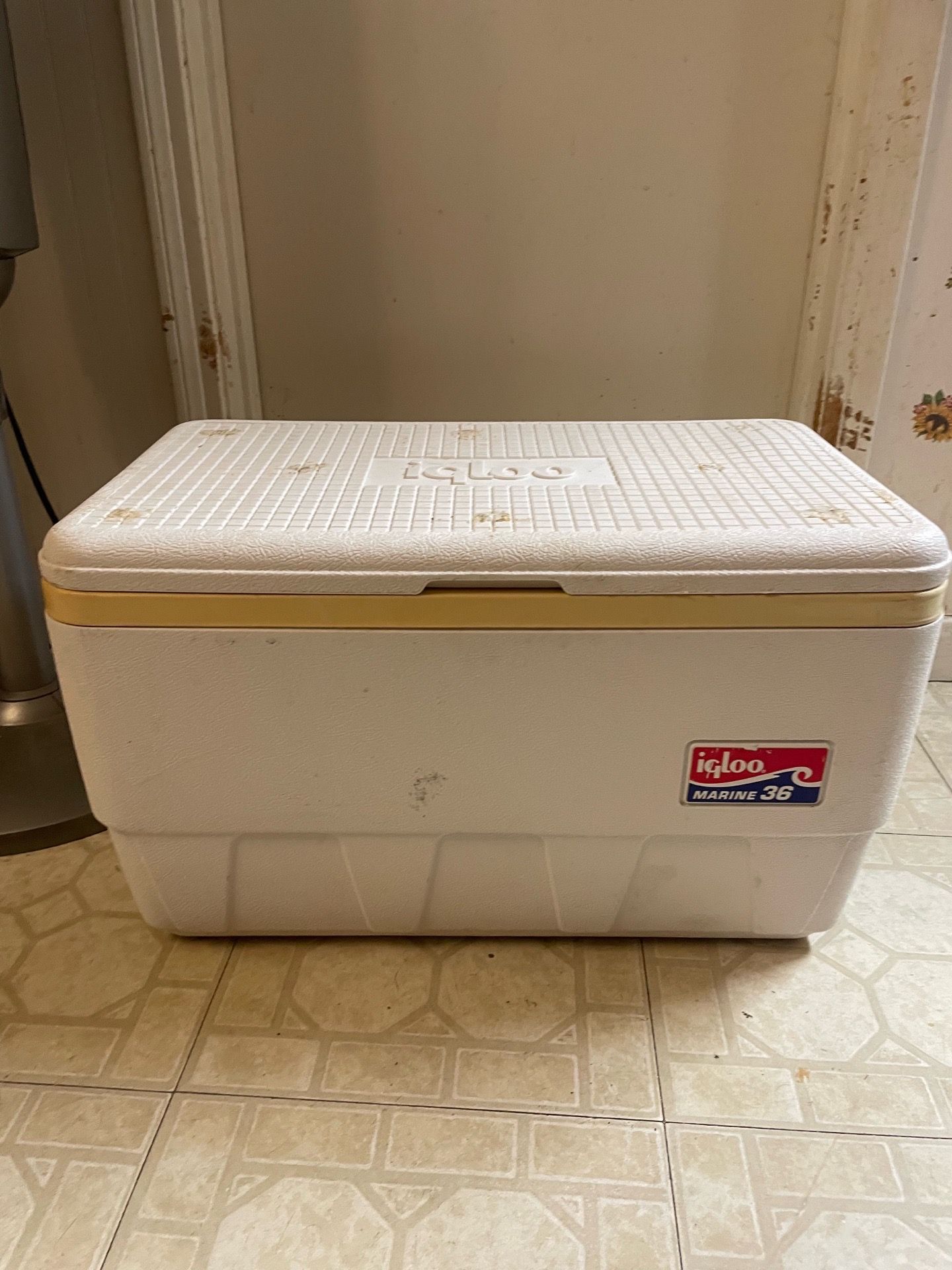 Igloo cooler