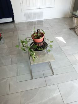 Glass Coffee Table