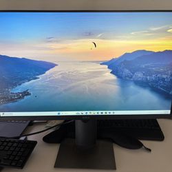 Dell HD Monitor - P2419H
