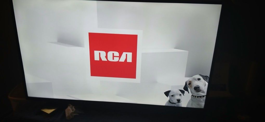 21x36in RCA TV